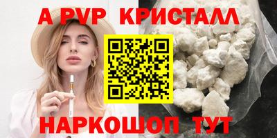 шишки Лесосибирск