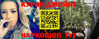 шишки Лесосибирск