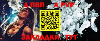 шишки Лесосибирск