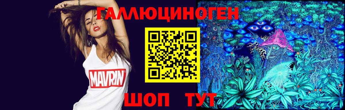 Жуковский  что такое   Вход с VPN  Псилоцибиновые грибы Cubensis 