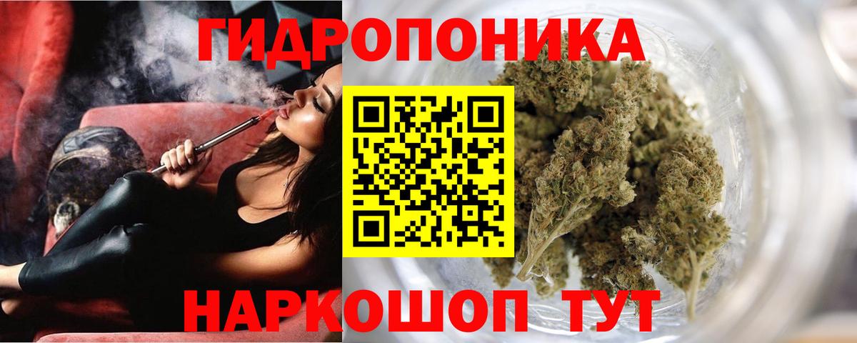 Каннабис план Жуковский